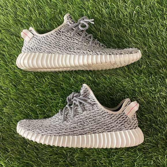 🕊turtle doves🕊 - Picture 1 of 6